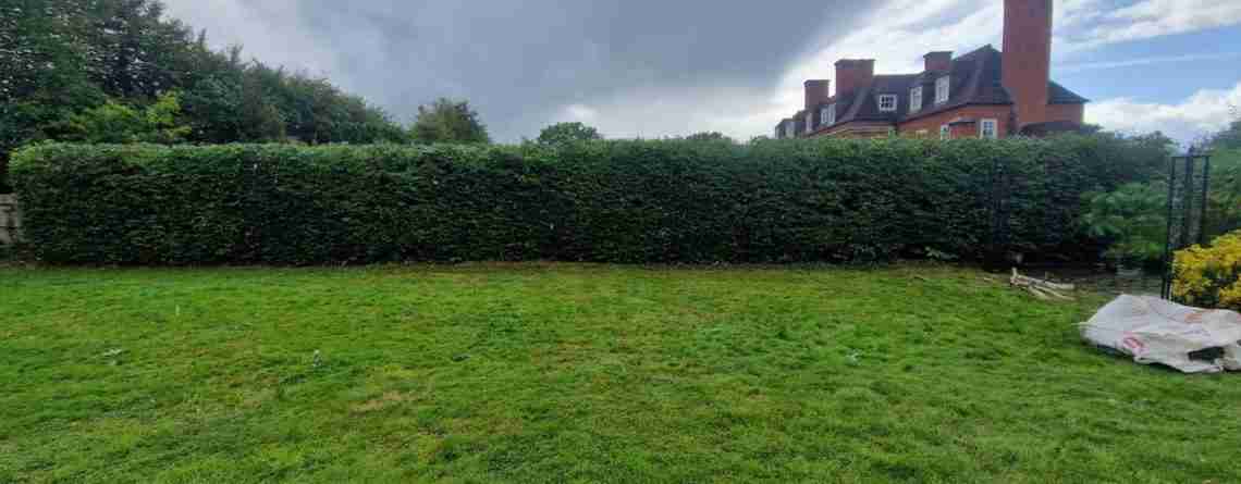 beautiful trimmed hedge in st albans